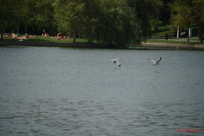 g10/31/798231/3/167658130.h0HVpDNd.jpg