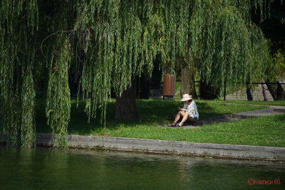 Sony-100-400-GM-OSS_21.JPG