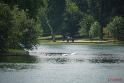 Sony-100-400-GM-OSS_23.JPG