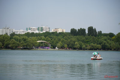 Sony-100-400-GM-OSS_25.JPG