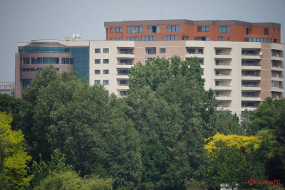 Sony-100-400-GM-OSS_30.JPG
