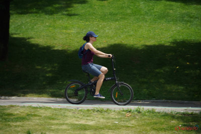 Sony-100-400-GM-OSS_46.JPG
