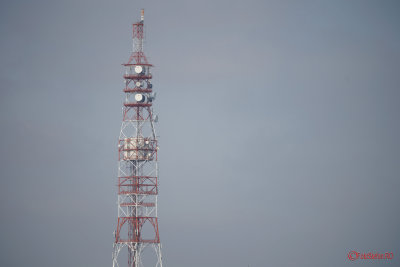 Sony-100-400-GM-OSS_51.JPG