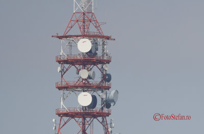 Sony-100-400-GM-OSS_51-crop.jpg