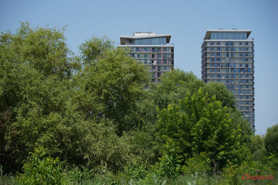 Sony-100-400-GM-OSS_85.JPG