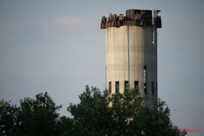 Sony-100-400-GM-OSS_88.JPG