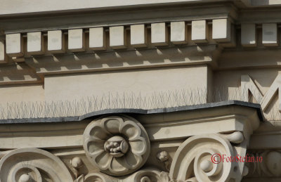 Sony-100-400-GM-OSS_109-crop-st-sus.jpg