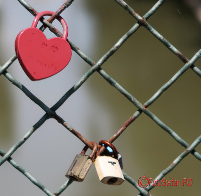 lacatele-iubirii-love-locks-timisoara_32.JPG