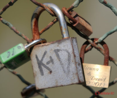 lacatele-iubirii-love-locks-timisoara_36.JPG