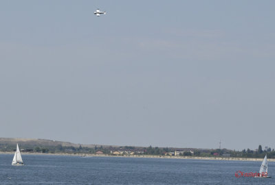 aeronauticshow-lacul-morii-Piper-PA-28-140.JPG