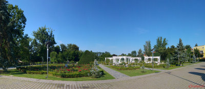 panorama-parcul-rozelor-timisoara.jpg