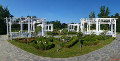 panorama-parcul-rozelor-timisoara_02.jpg