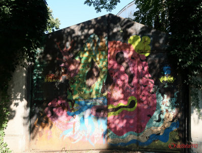 graffiti-timisoara-romania_23.JPG