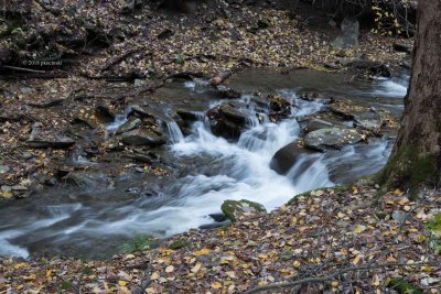 Creeks and Streams Are Flowing