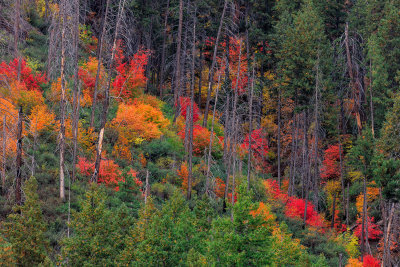 Oak_Creek_Fall_3475.jpg