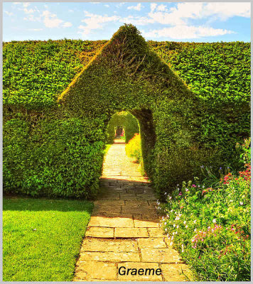 Topiary Archways