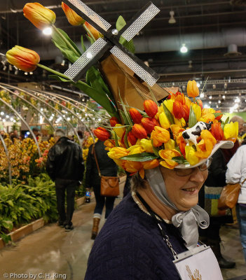 A Dutch Hat