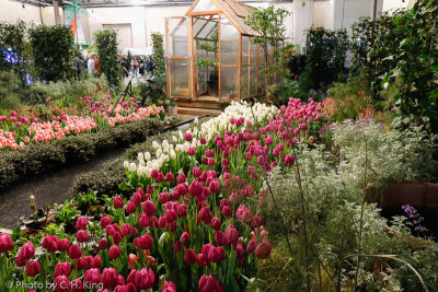 The Sustainable Roof Garden
