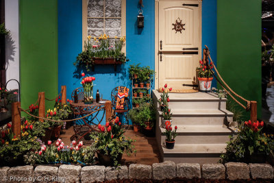 Dutch Door