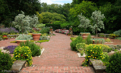 Longwood Gardens - beginning of the Flower Walk