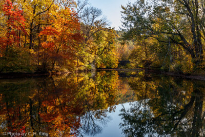 Pidcock Creek