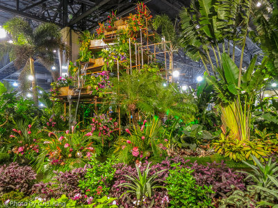 2018 Philadelphia Flower Show - Wonders of Water