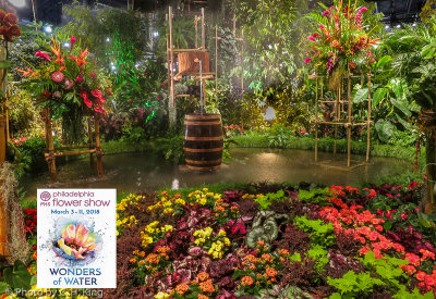 Philadelphia Flower Show 2018 Wonders of Water