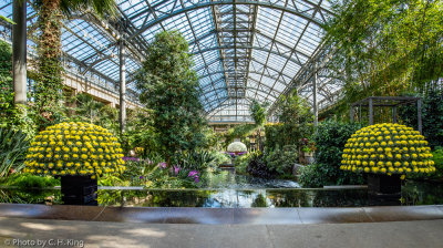 Longwood's East Conservatory