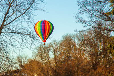 Early Morning Balloon Flight