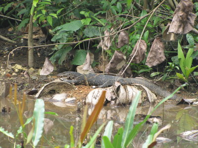 malediven_en_sri_lanka