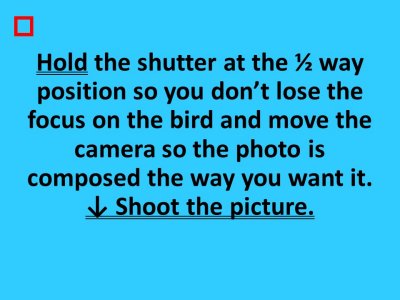 Slide12.JPG