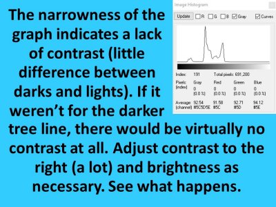 Slide67.JPG