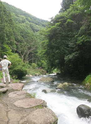 Izu Peninsula