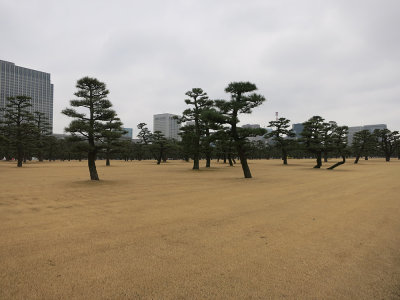 Tokyo Imperial Palace Grounds