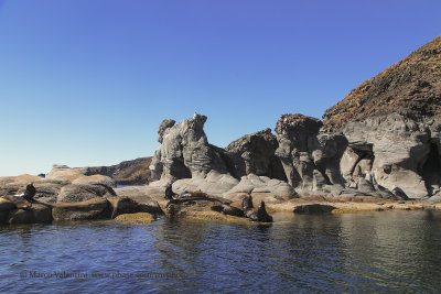 Rocks and sea lion