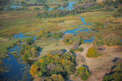 Okavango delta