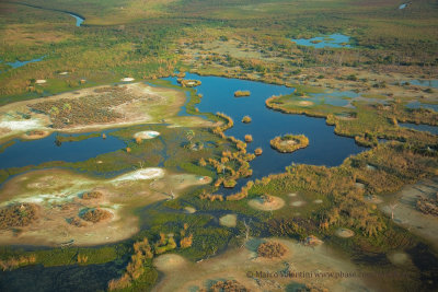 Okavango delta