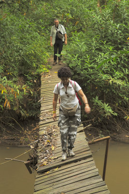 Bridge