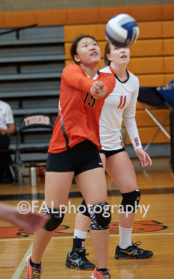 volleyball_17