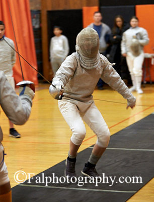 bg_fencing