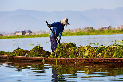 inle lake050.jpg