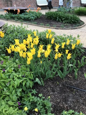 IMG_0273.JPG