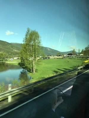 IMG_0379.JPG