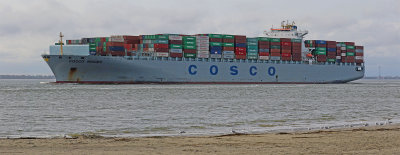 COSCO Ningbo copy.jpg