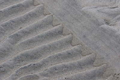EE5A0045 Interesting sand ripples.jpg