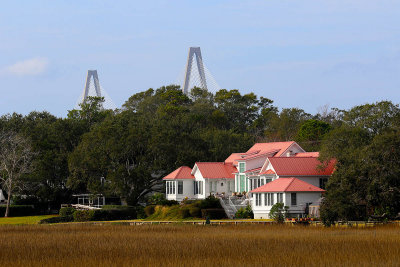 EE5A0231 In the shadow of the bridge.jpg