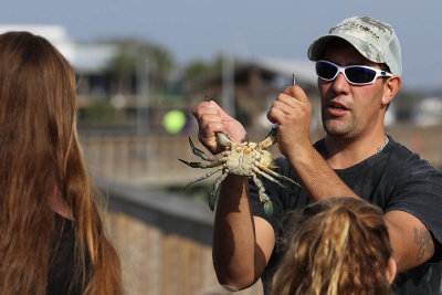 EE5A0278 Blue crab.jpg