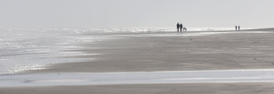 EE5A0337 Low tide walking.jpg