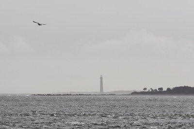 EE5A1106 Morris Island Lighthouse.jpg