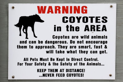 EE5A1737 Sullivans Island Coyote sign.jpg